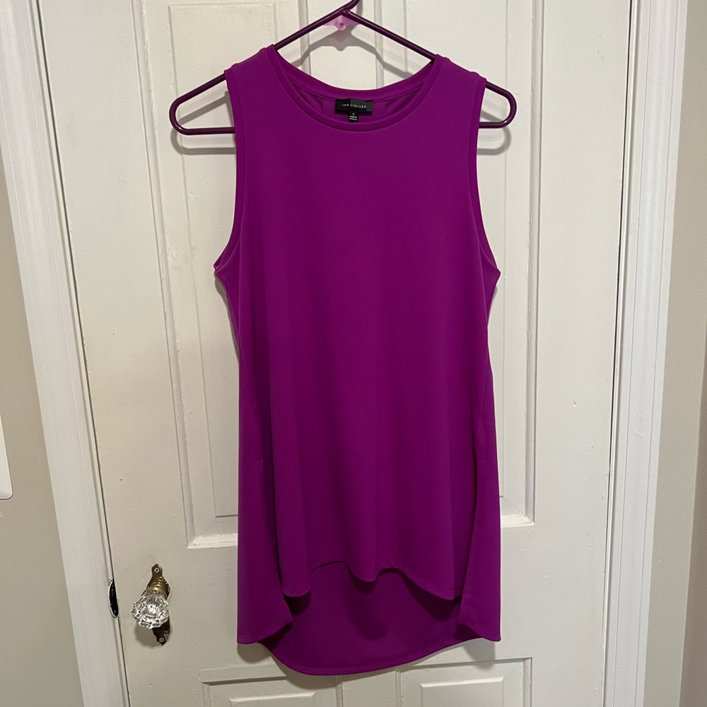 The Limited purple top